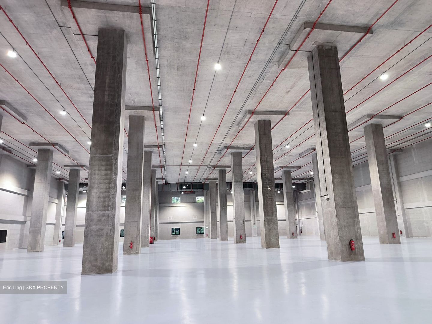Toh Guan Road East (D22), Warehouse #535827161